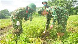 Thi đua thực hiện  5 chuẩn mực “Bộ đội Cụ Hồ”